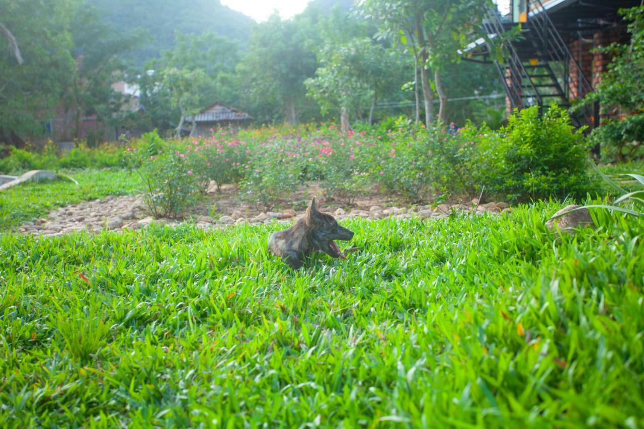 Phong Nha Bolero Bungalow Pokój zdjęcie